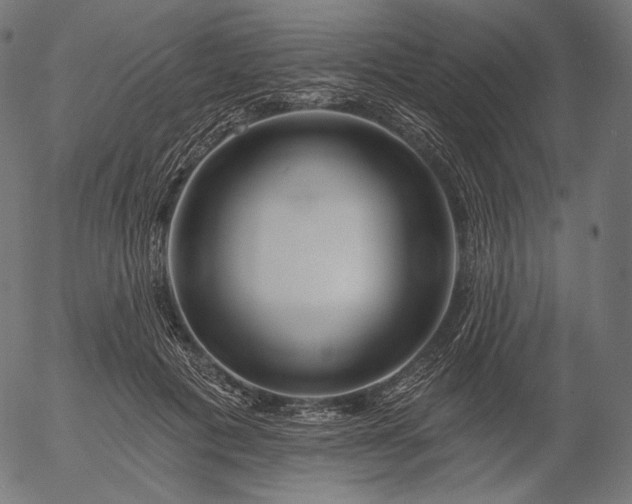 X0000056010601200509021732