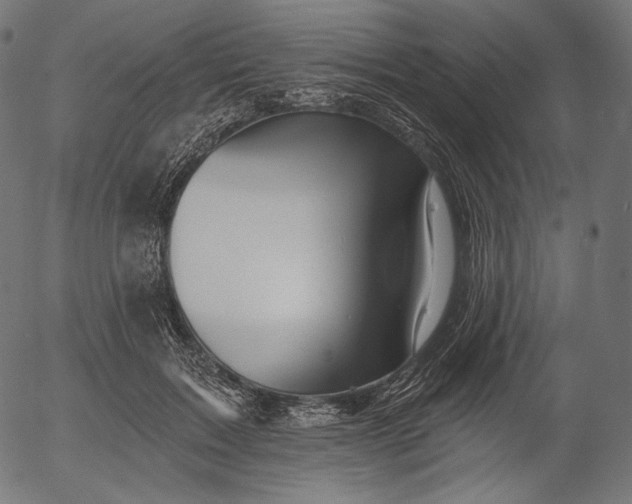 X0000056010603200509021732