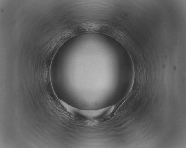 X0000056010604200509021732