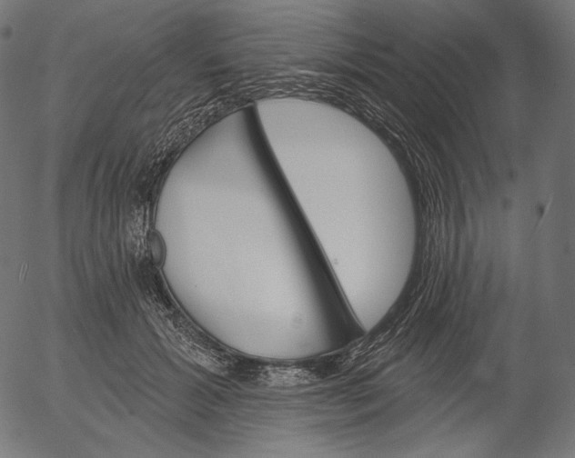 X0000056010605200509021732