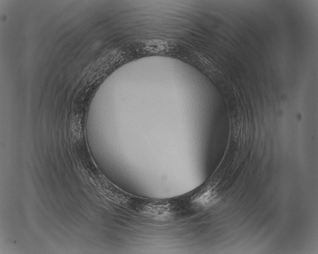 X0000056010606200509021732