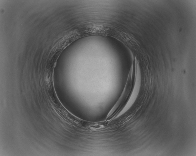 X0000056010607200509021732