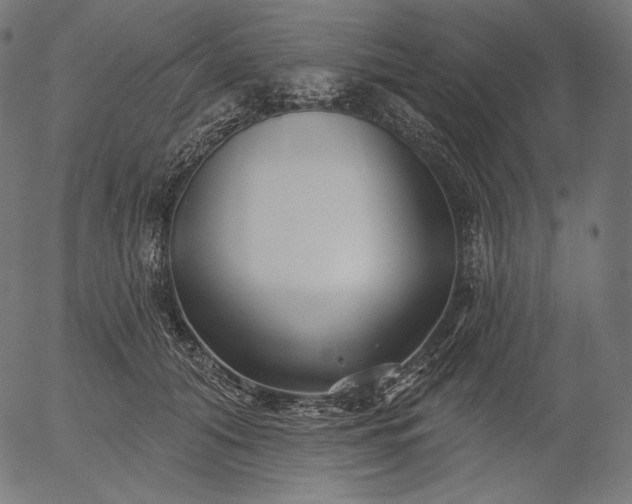 X0000056010608200509021732