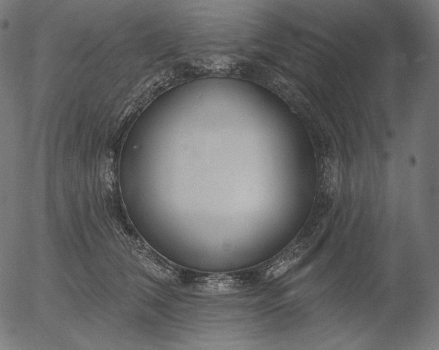 X0000056010612200509021731
