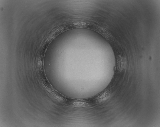 X0000056010614200509021731