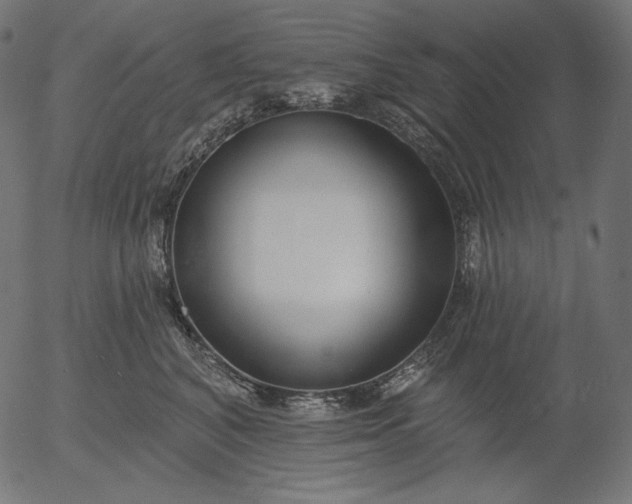 X0000056010616200509021731