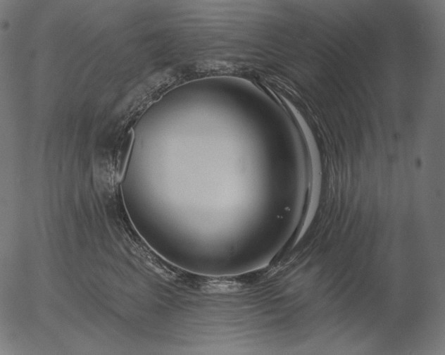 X0000056010617200509021731