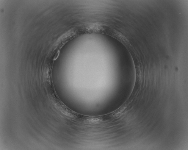 X0000056010619200509021731