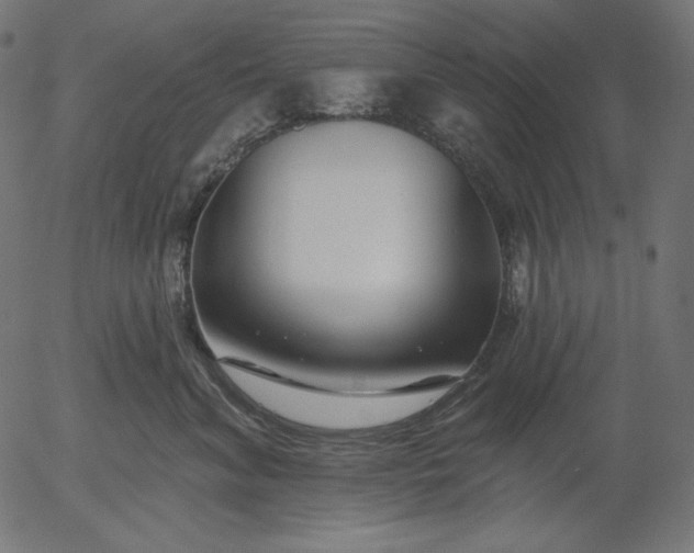 X0000056010620200509021731