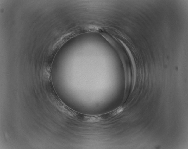 X0000056010621200509021731