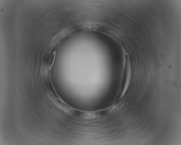 X0000056010623200509021731