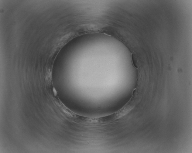 X0000056010624200509021731