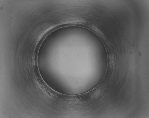 X0000056010628200509021731