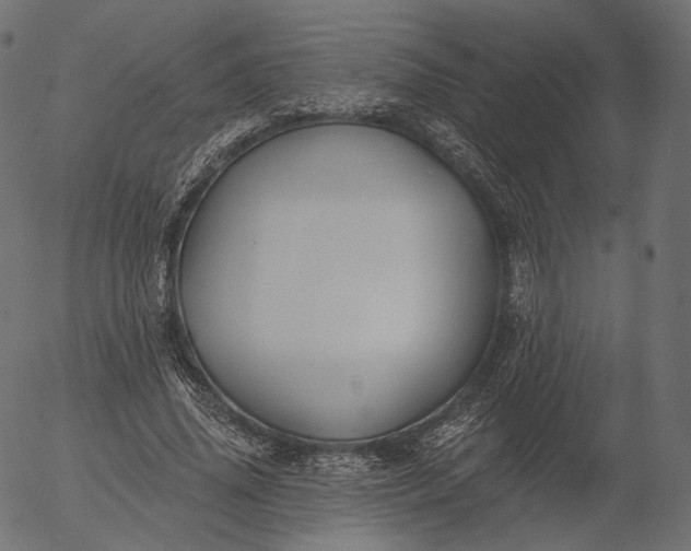 X0000056010636200509021731
