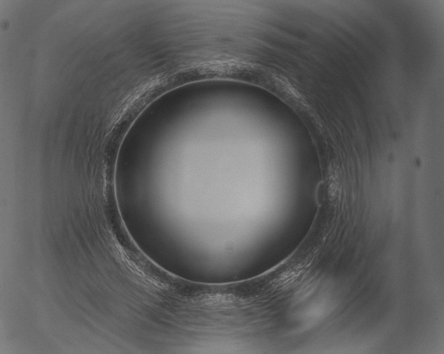 X0000056010637200509021731