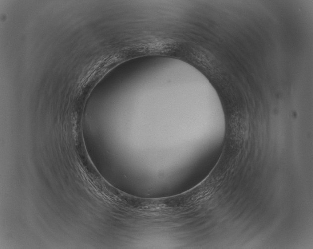 X0000056010642200509021731