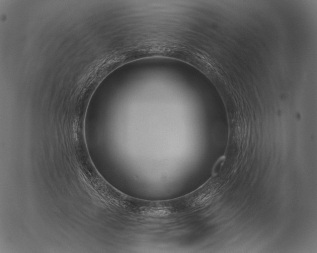 X0000056010643200509021731