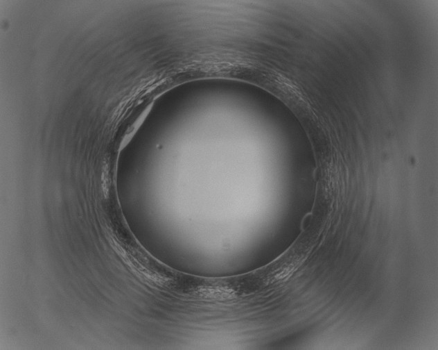 X0000056010644200509021731