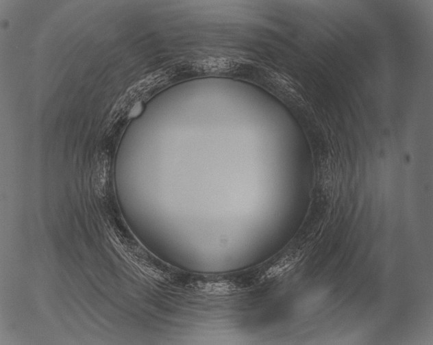 X0000056010645200509021731