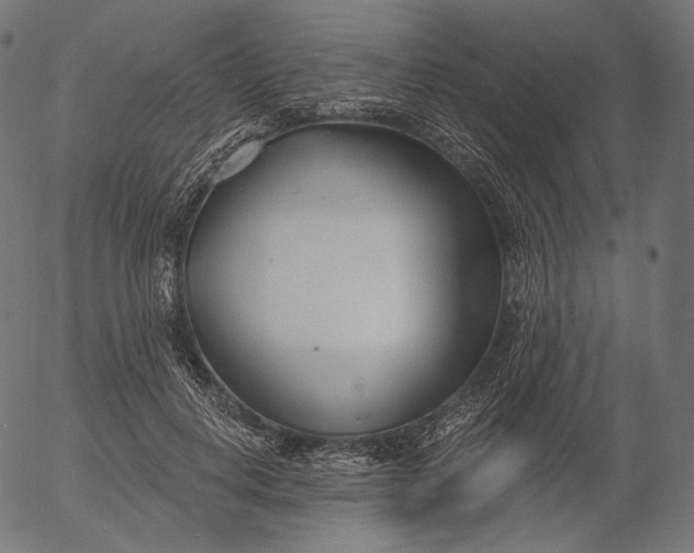 X0000056010648200509021731