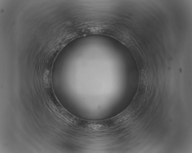 X0000056010650200509021731