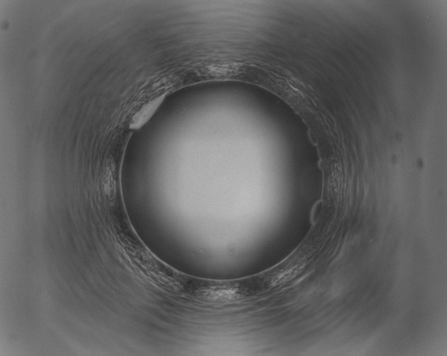 X0000056010651200509021731