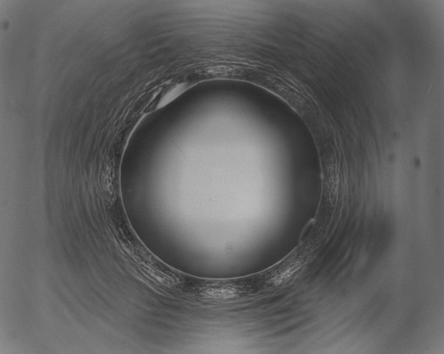 X0000056010653200509021731