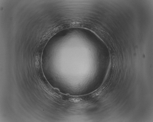 X0000056010654200509021731