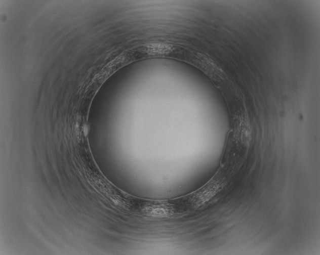 X0000056010655200509021731