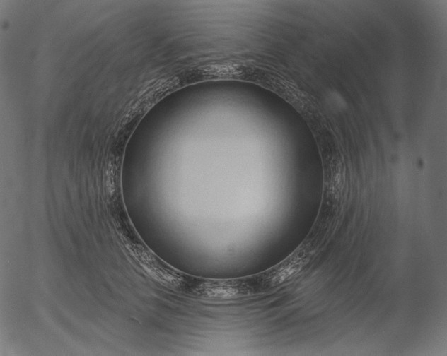 X0000056010658200509021731