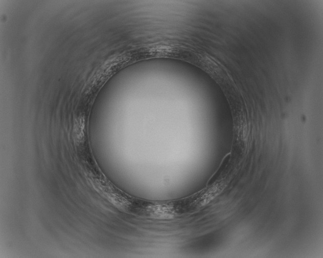 X0000056010660200509021731