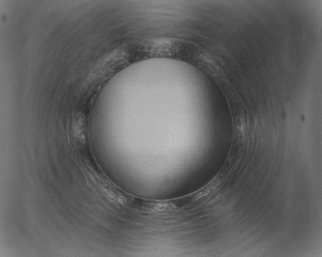 X0000056010663200509021731
