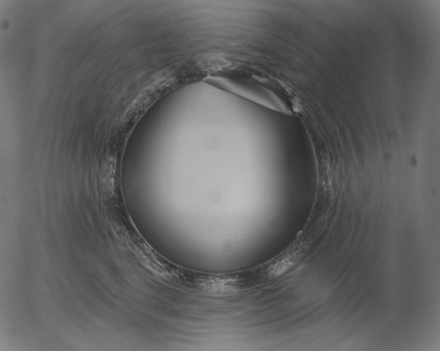 X0000056010664200509021731