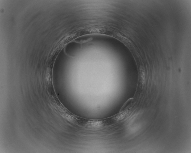 X0000056010665200509021731