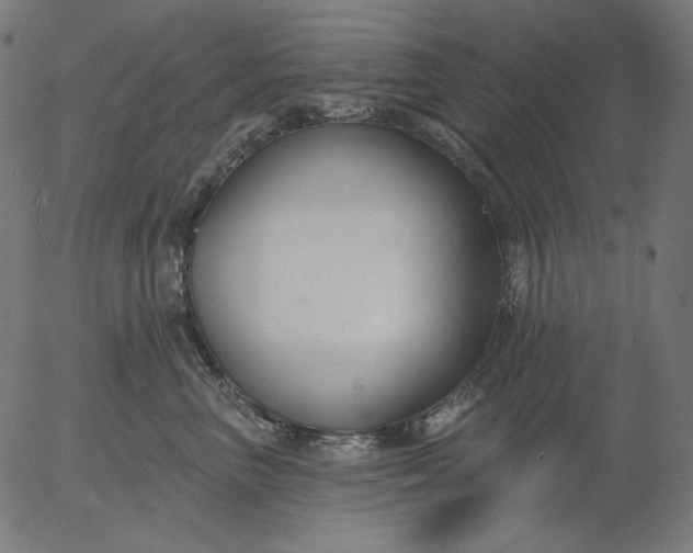X0000056010667200509021731