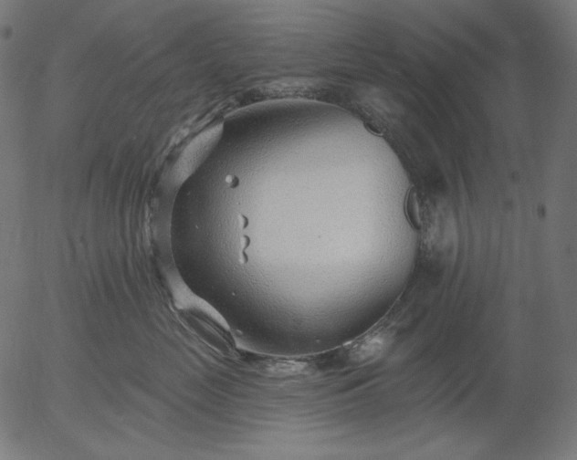 X0000056010669200509021731