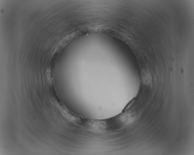 X0000056010670200509021731