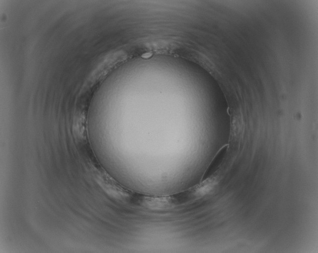 X0000056010671200509021731
