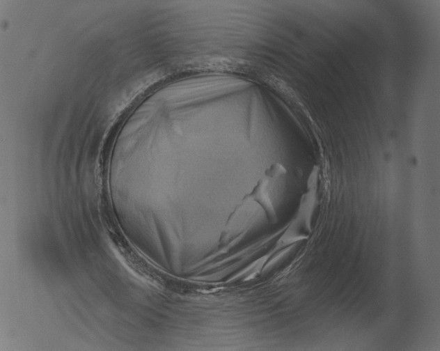 X0000056010674200509021730