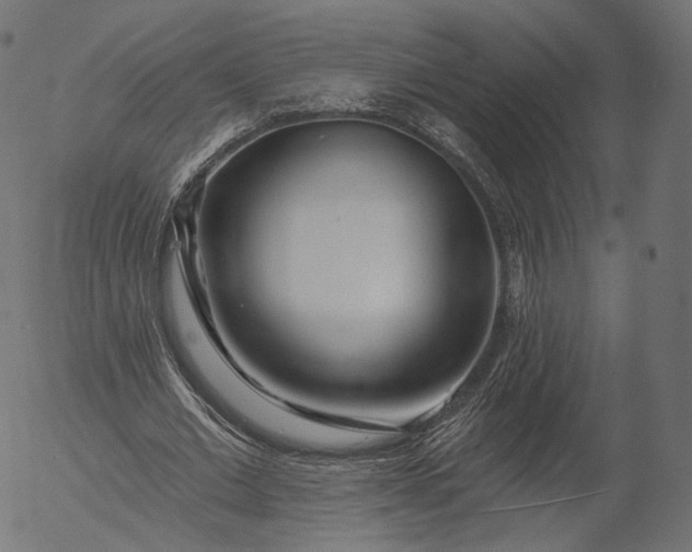X0000056010677200509021730