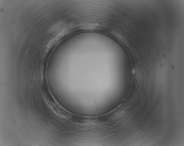 X0000056010682200509021730