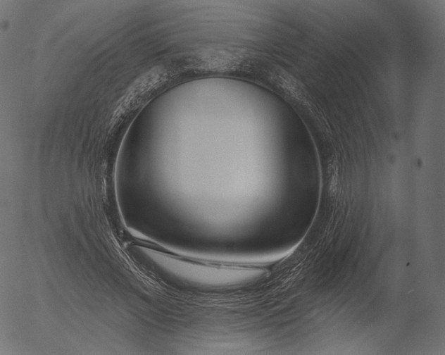 X0000056010685200509021730