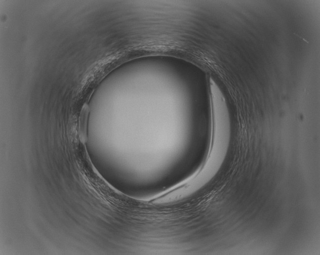X0000056010688200509021730
