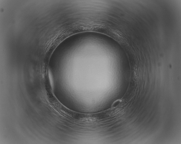 X0000056010691200509021730