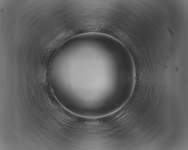 X0000056010693200509021730