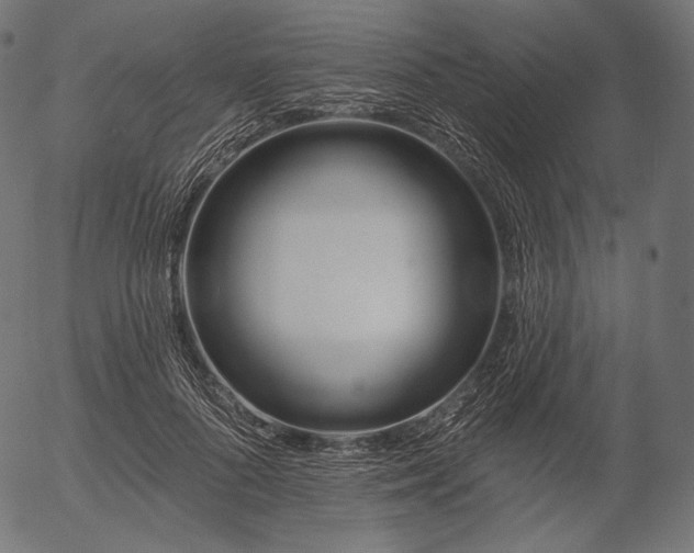 X0000056010696200509021730