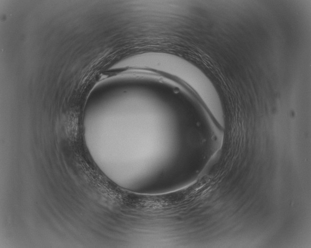 X0000056010697200509021730