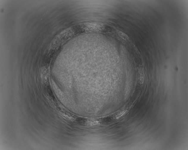 X0000056010701200509021730
