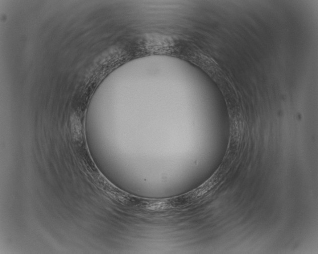 X0000056010705200509021730