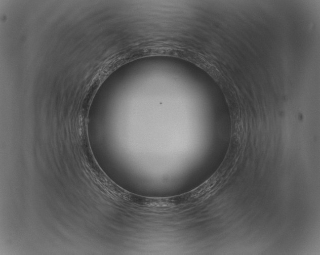 X0000056010708200509021730